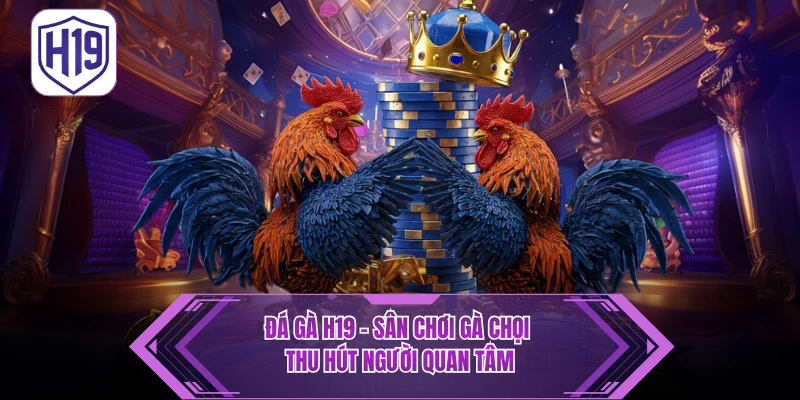Hướng Dẫn Tham Gia Cá Cược Đá Gà H19 Từ A–Z