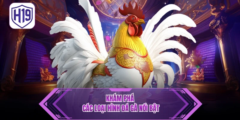 Các Thể Loại Cá Cược Đá Gà Nổi Bật Tại H19