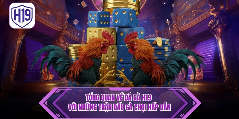 Đá Gà H19 – Thưởng Thức Trận Kịch Tính Thomo & Philippines